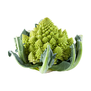 Chou fleur romanesco (6)