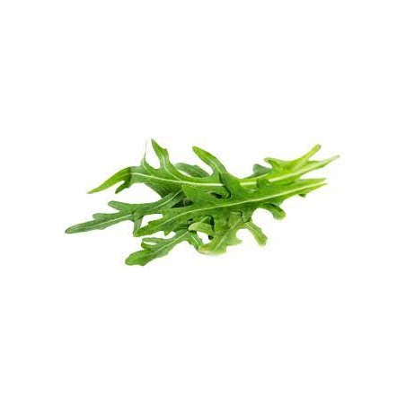 Roquette lavee 250g (V)