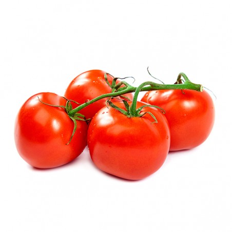 Tomate grappe (5)