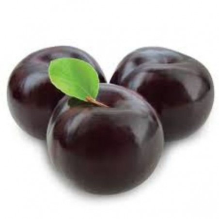 Prune noire (5)