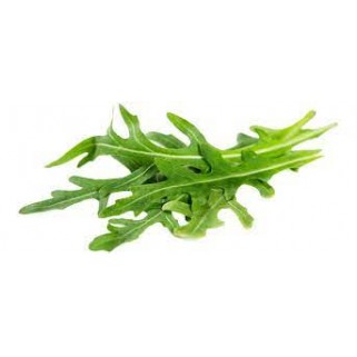 Roquette 100gr (8)
