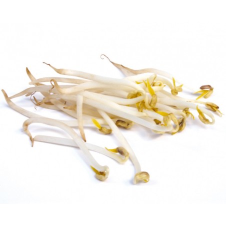 Soja ravier 200g