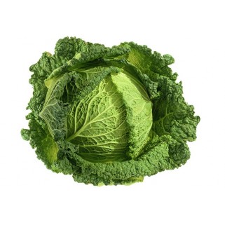 Choux vert (5)