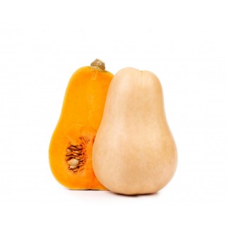Butternut (10)