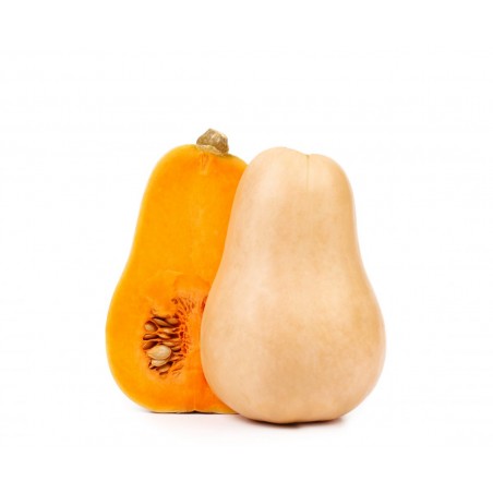 Butternut (10)