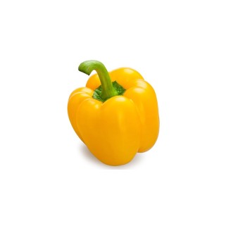 Poivron jaune (5)