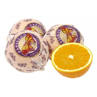 Orange Papillon (10)