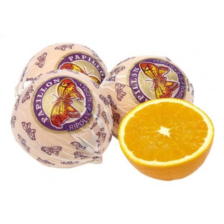 Orange Papillon (10)
