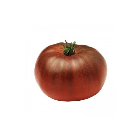 Tomate noire de Crimee (4.5)