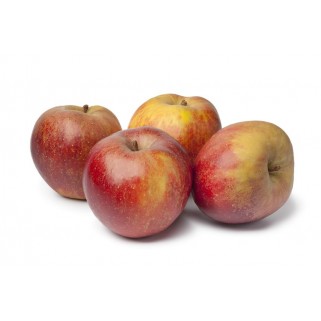 Pomme boscoop (11)