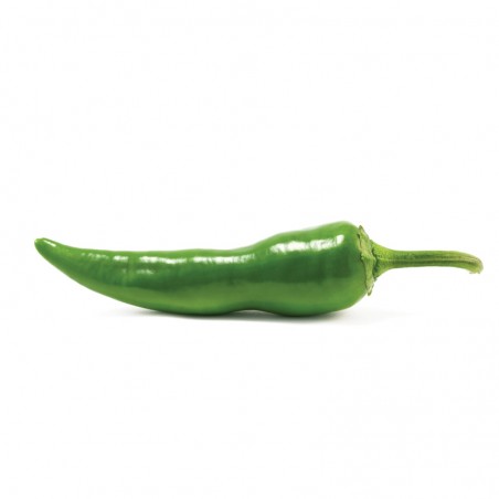 Piment vert (4)