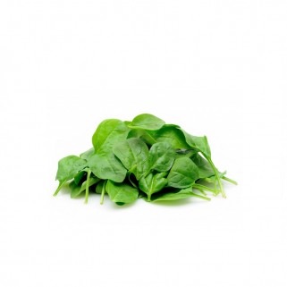 Pousse epinard 300gr (4)
