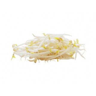 Soja 1000gr