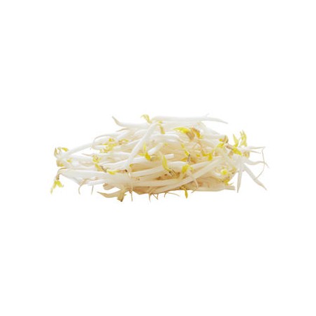 Soja 1000gr