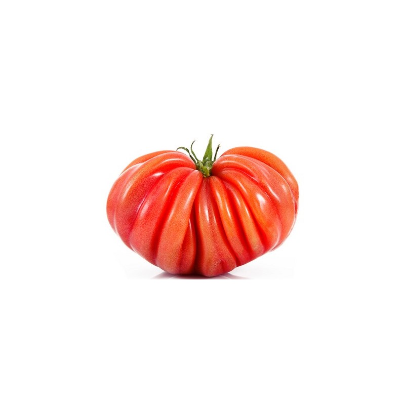 Tomates Coeur de boeuf (4.5)