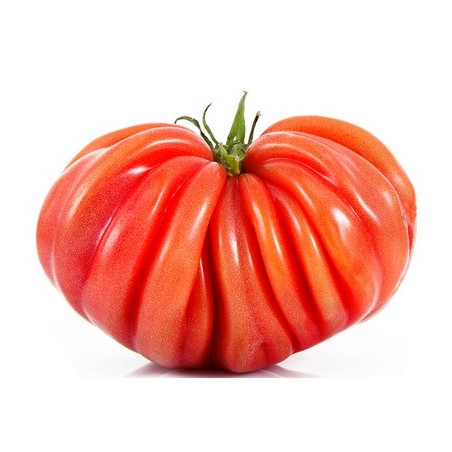 Tomates Coeur de boeuf (4.5)