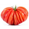 Tomates Coeur de boeuf (4.5)