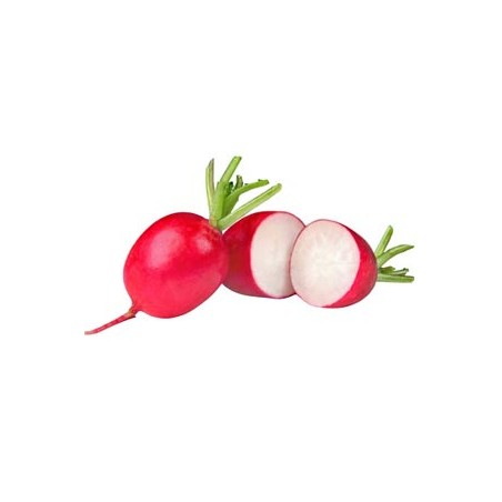 Radis entier 1kg (vegr)