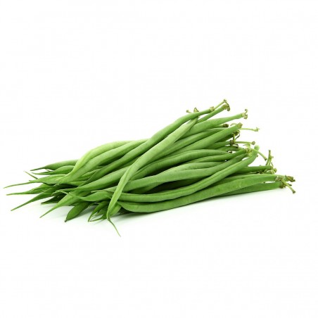 Haricot vert (5)