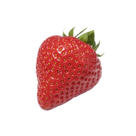 Fraise 3A local wallon (8)