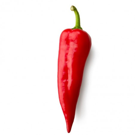 Piment rouge (3)