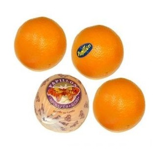 Orange Papillon (10)