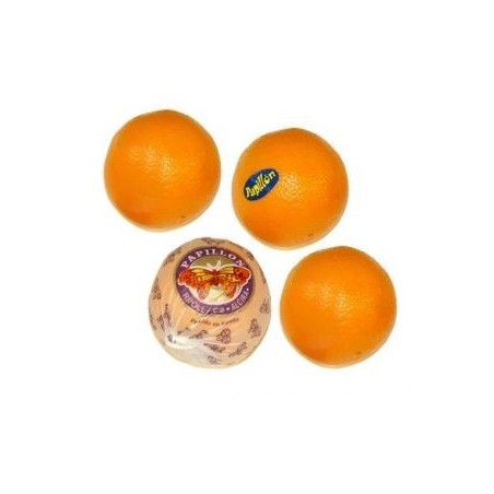 Orange Papillon (10)